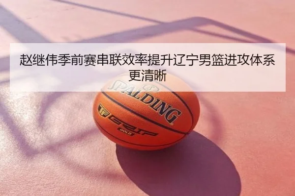 赵继伟季前赛串联效率提升辽宁男篮进攻体系更清晰